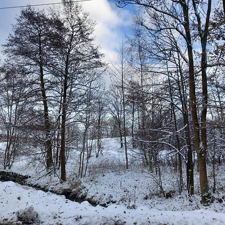 Szewska Pasja Agroturystyka Wiejska Löschney Exterior foto
