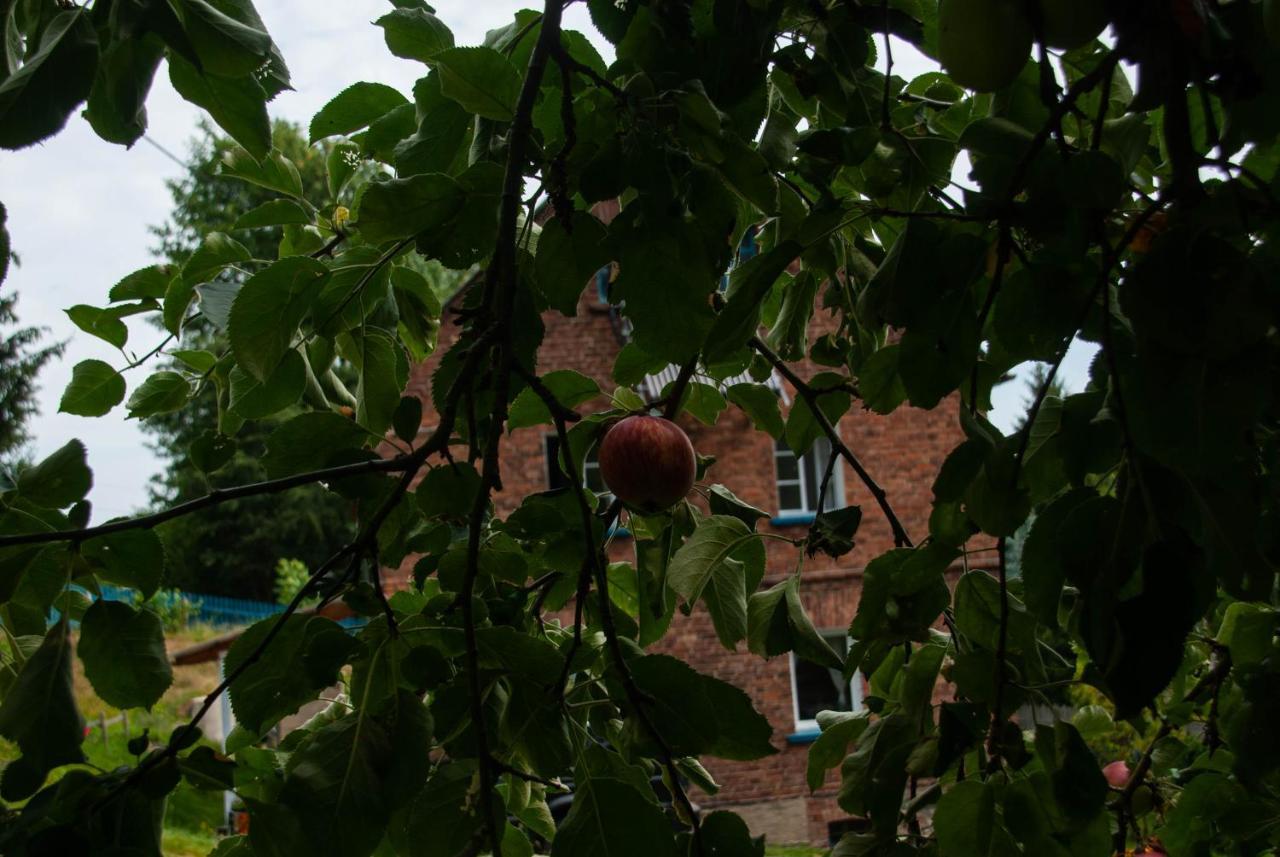 Szewska Pasja Agroturystyka Wiejska Löschney Exterior foto