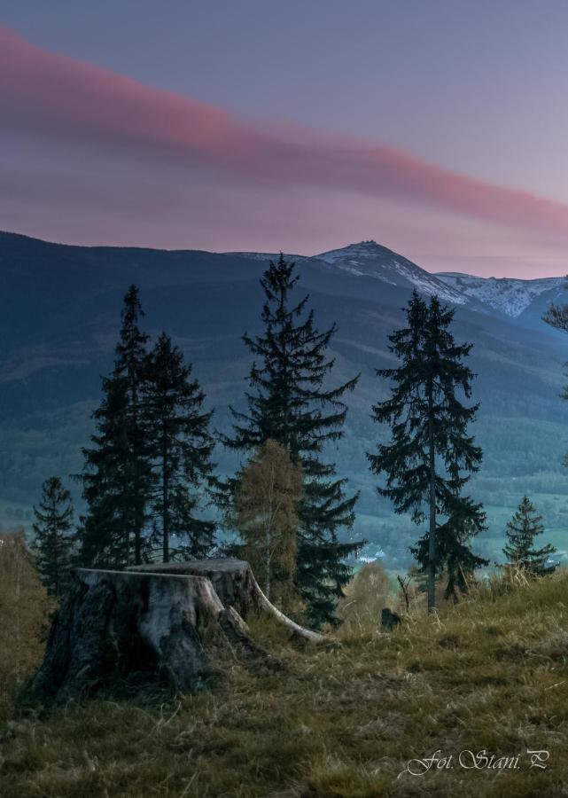 Szewska Pasja Agroturystyka Wiejska Löschney Exterior foto