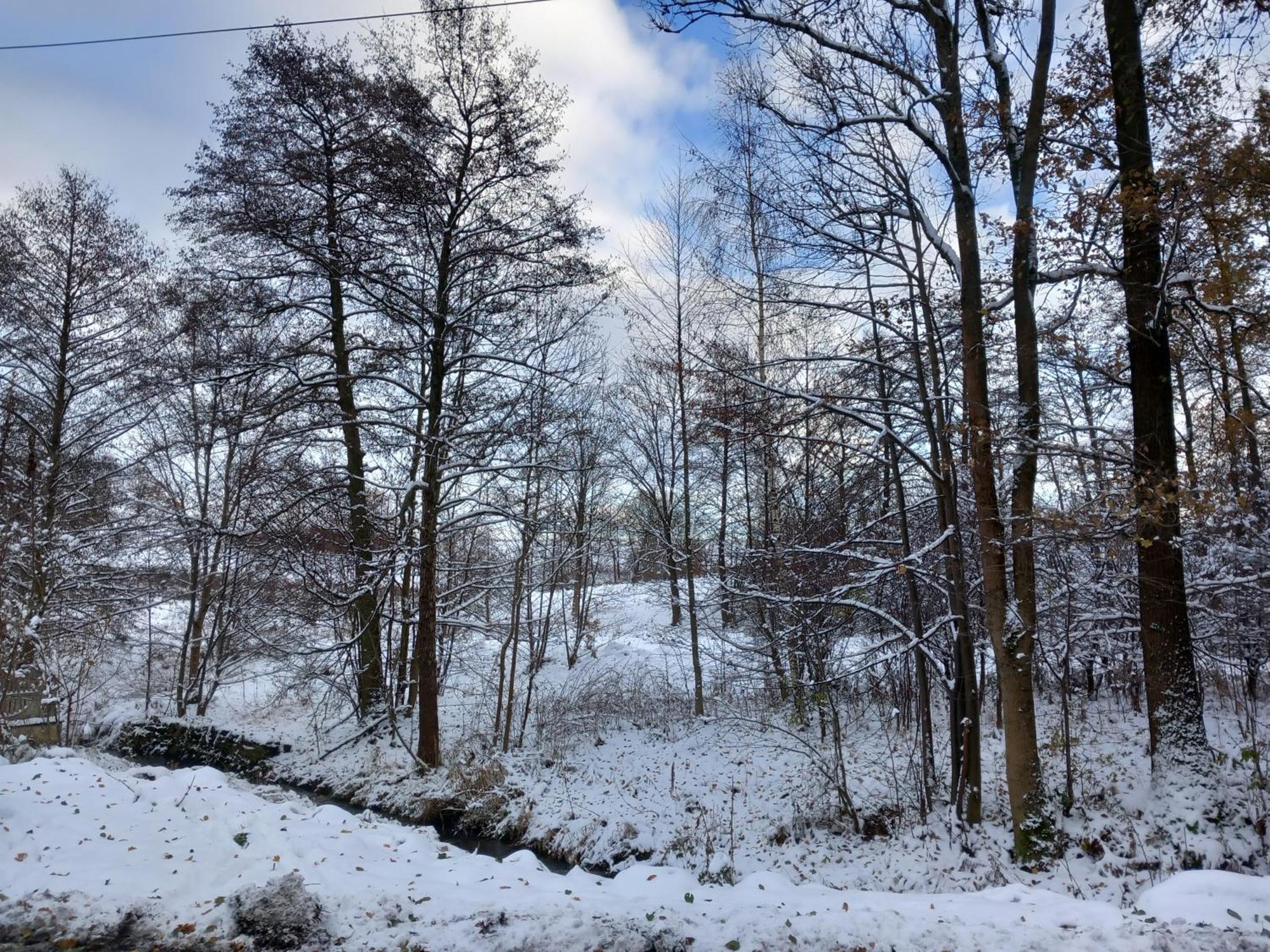 Szewska Pasja Agroturystyka Wiejska Löschney Exterior foto