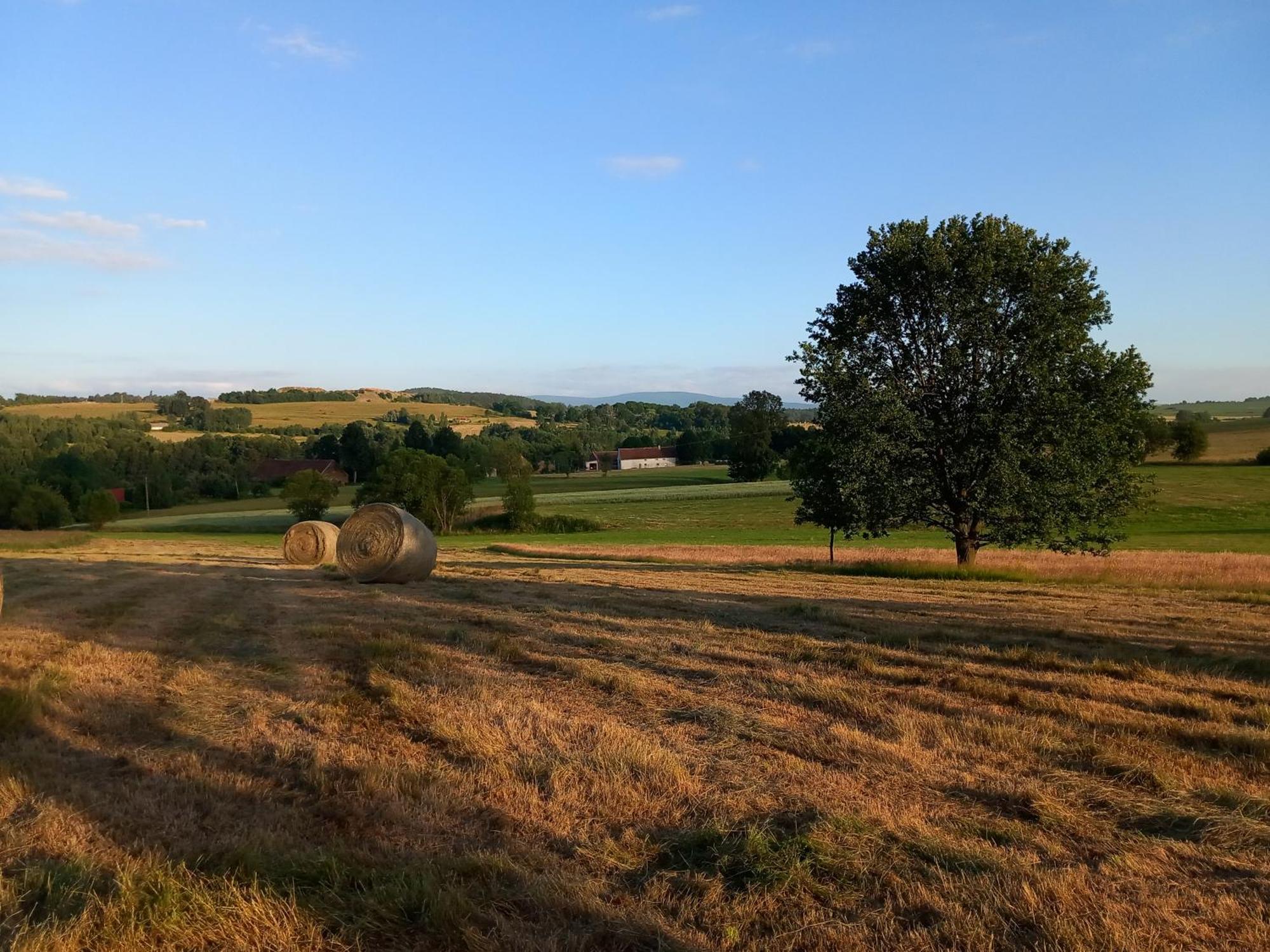 Szewska Pasja Agroturystyka Wiejska Löschney Exterior foto