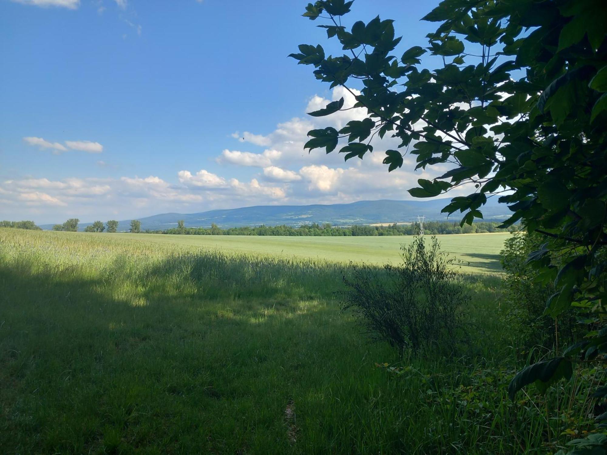 Szewska Pasja Agroturystyka Wiejska Löschney Exterior foto